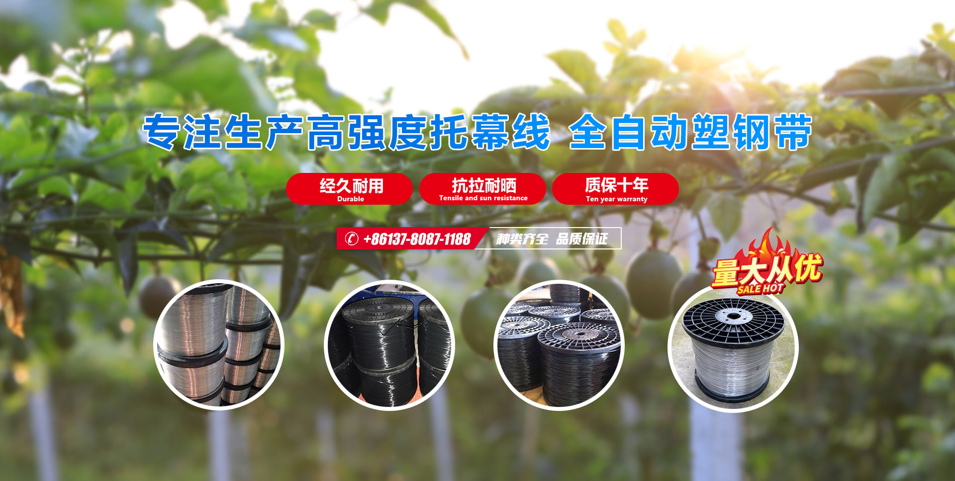 LY.COM
